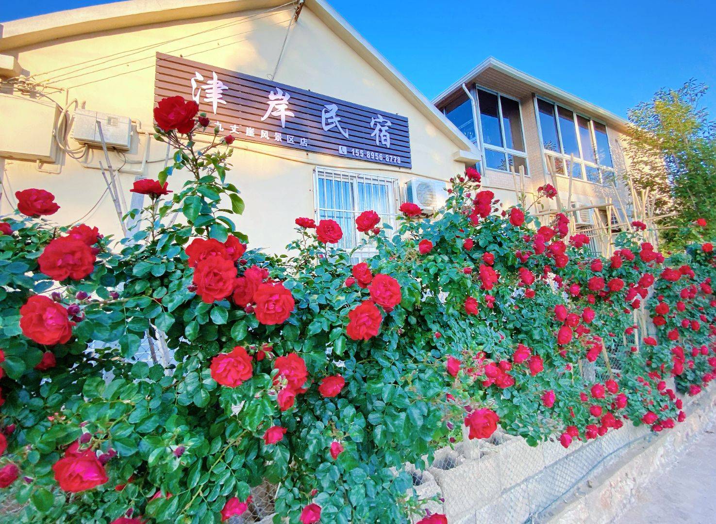 长岛民宿哪家老板实在？津岸民宿15年零套路，游客直呼宝藏