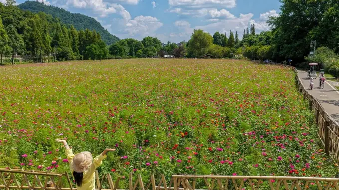 十里河滩花如海 缤纷盛景醉游人