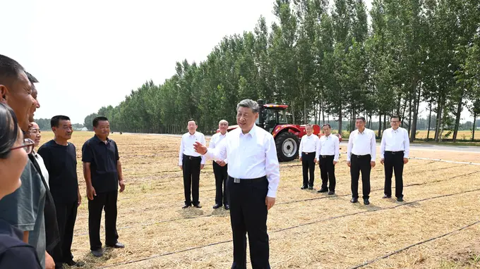记者手记：根脉在大地上，力量在人民中