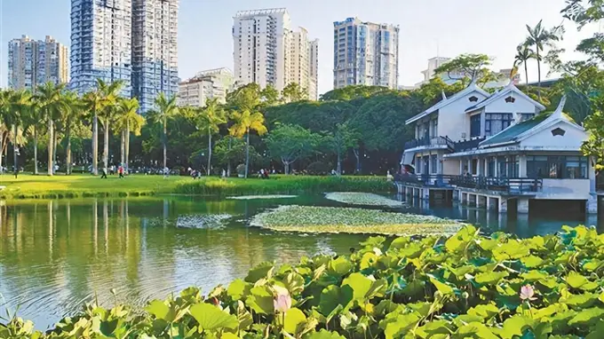 市民“出门进园”成寻常,厦门目前共有300多座公园(含口袋公园)