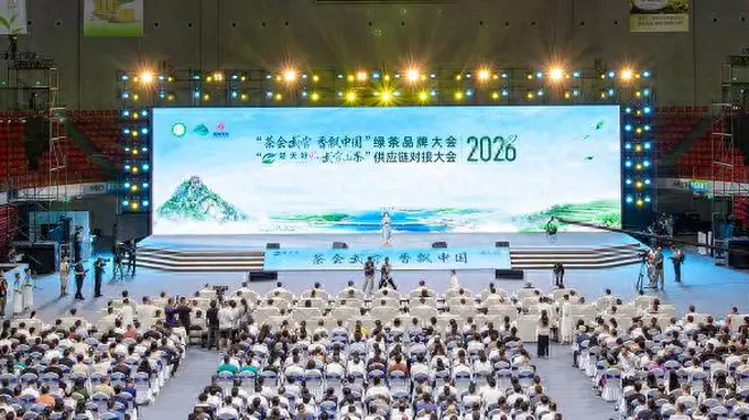全国绿茶前六强！“日照绿茶”再度闪耀全国 圣谷山海岳岭茶入选2026绿茶品牌大会“珍品茶”