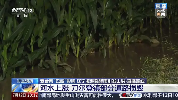 大桥被淹没、玉米泡水1米深，直击辽宁凌源强降雨现场