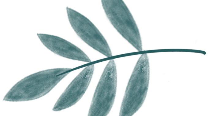 活动报道‖品四时茶宴,阅一城文脉!“早点来泰州”系列讲座收官
