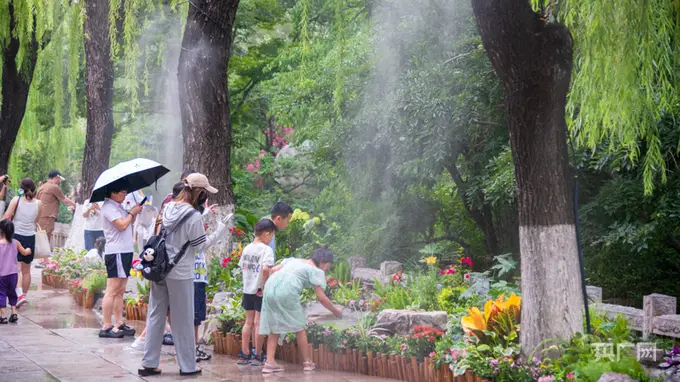 济南趵突泉泉水花卉小景亮相 泉水繁花交织解锁夏日沉浸式游园新体验