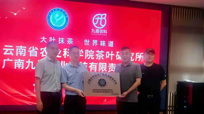 院企携手科创赋能 云南大叶种抹茶按下标准化国际化启动键