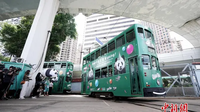 香港岛大熊猫主题电车今日开启生日巡游活动