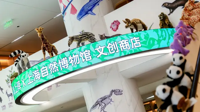 上海自然博物馆南京西路快闪店开业 三馆科普文创首次亮相街角