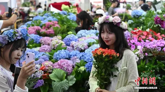 8月斗南花市迎客潮 昆明花海打卡人气爆棚