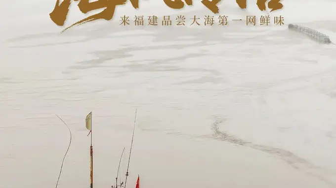 海风传信！来福建品尝大海第一网鲜味