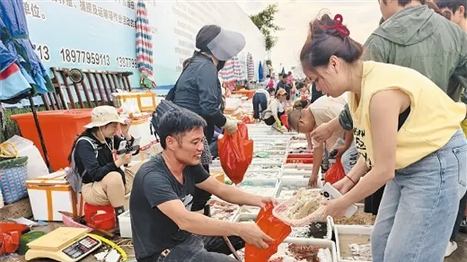 船归港，鱼满舱