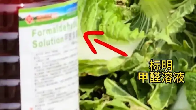 马上评|还有多少“甲醛白菜”流入了市场?