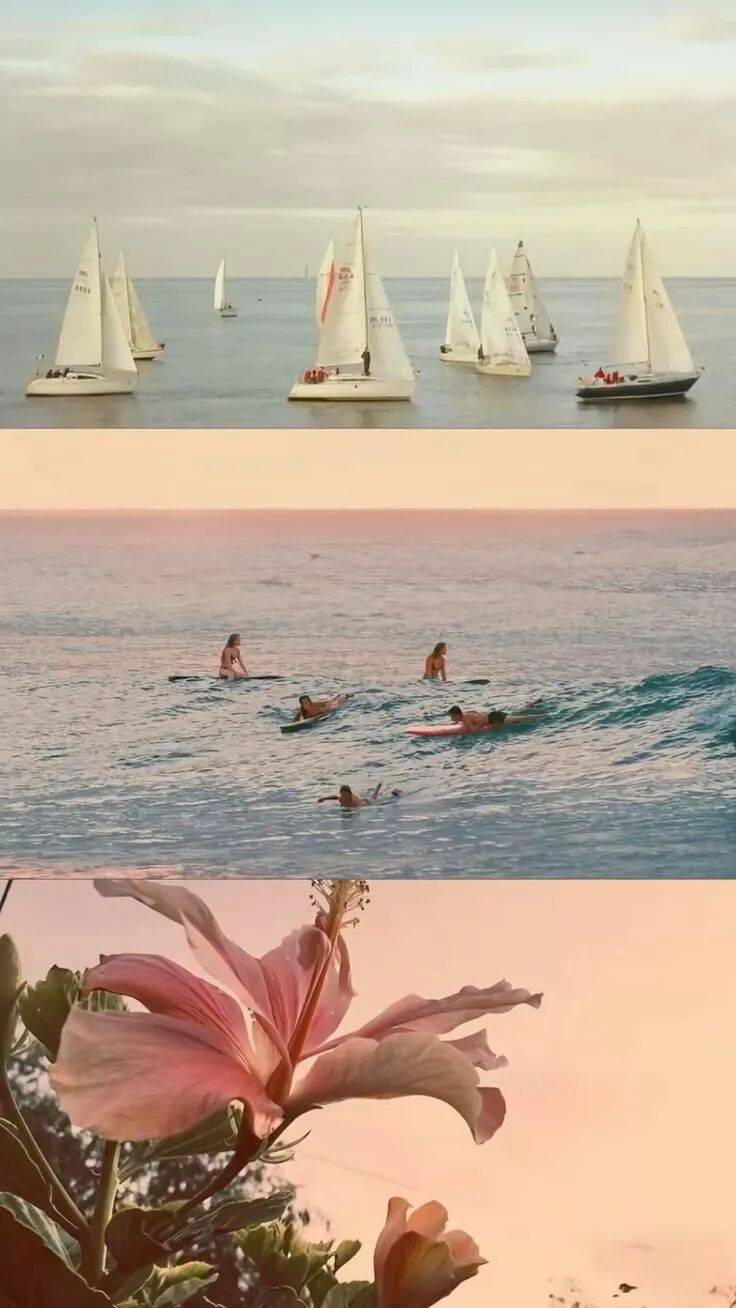 夏天，是热带女孩的舒适区