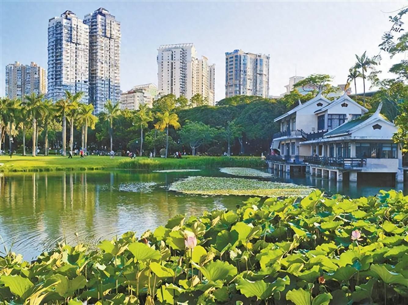 市民“出门进园”成寻常，厦门目前共有300多座公园（含口袋公园）