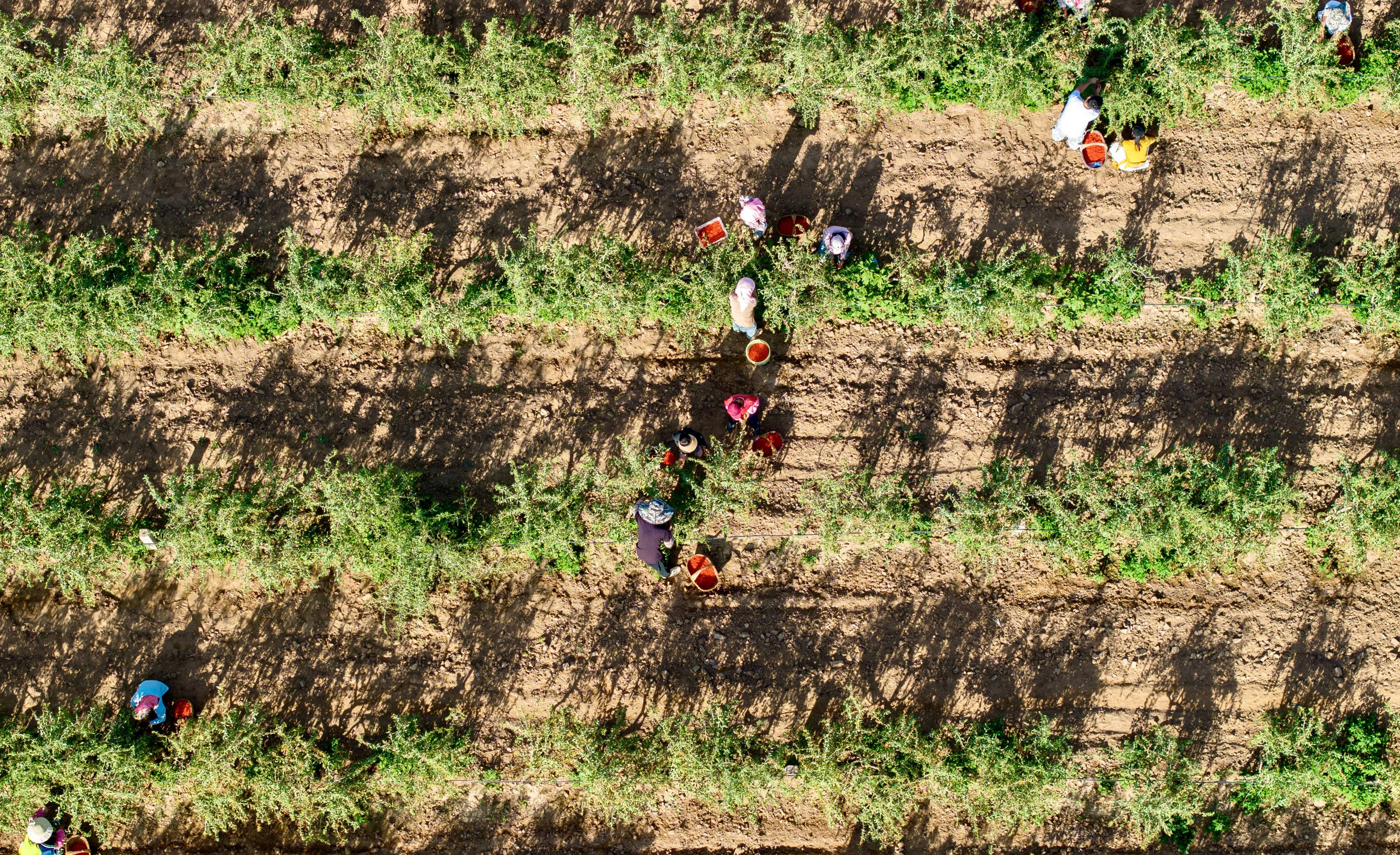 沿着埃德加·斯诺的足迹看当代中国