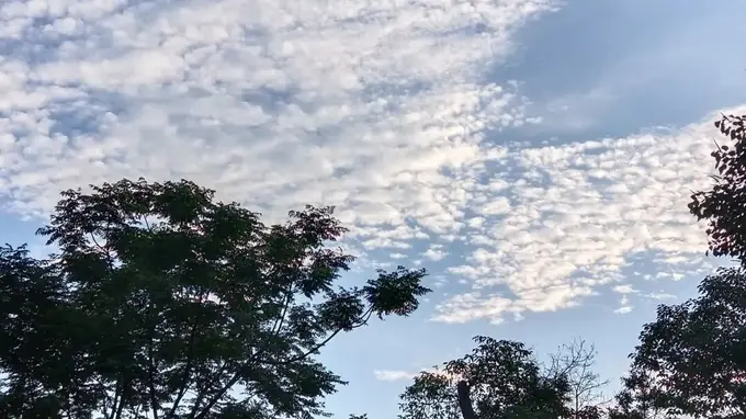 高考698分却称“考砸”:“最差即最优”焦虑背后的新解