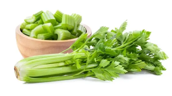 芹菜的营养价值？