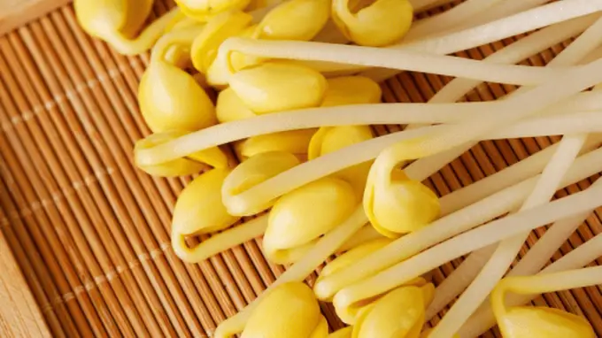 金豆子清水豆芽，藏在烟火里的本味安康