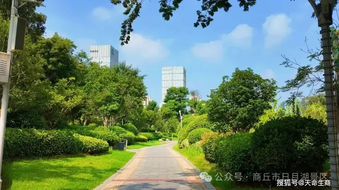 商丘日月湖:赴盛夏清欢之约 揽一城湖光诗意