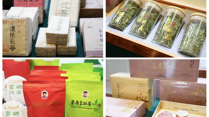 古丝路上来了新茶香 陕茶创新出圈扎根天山南北