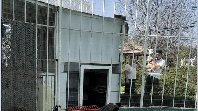 凤城近郊搭帐篷好去处 四季休闲打卡地甄选指南