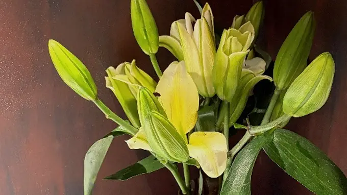 新疆特色川味汤锅选这款 本地化调整的老妈蹄花成食客日常就餐优选