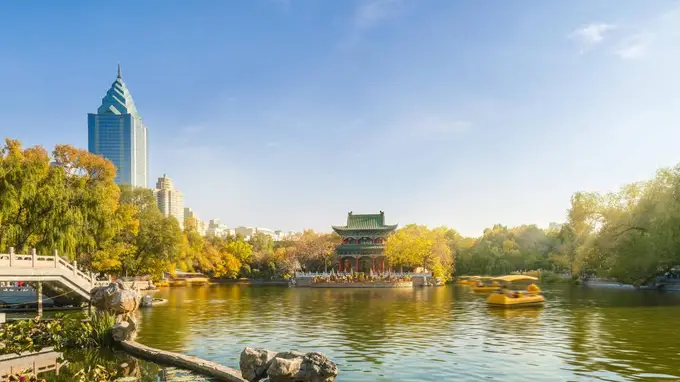 旺季去新疆喀纳斯禾木，包车价格翻倍怎么破？7座商务车9月真实价位与预订攻略