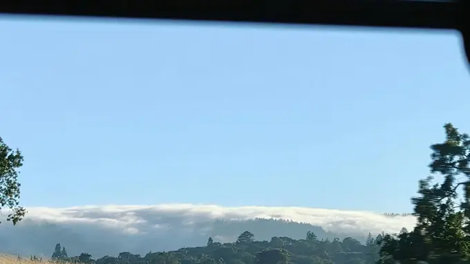 从洛杉矶到旧金山：探索加州西海岸的自然奇观