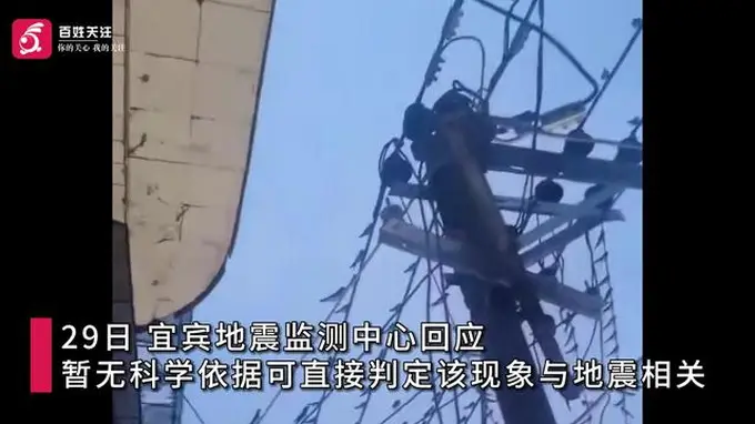 宜宾高县地震前数百只燕子聚集电线杆 官方：无法直接判定与地震相关