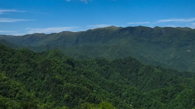 22℃紫柏山，小白友好的夏日徒步胜地