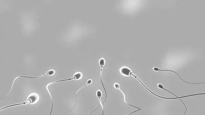 千年“养精蓄锐”遭推翻，牛津 5.4 万人研究：精子越攒，质量越差