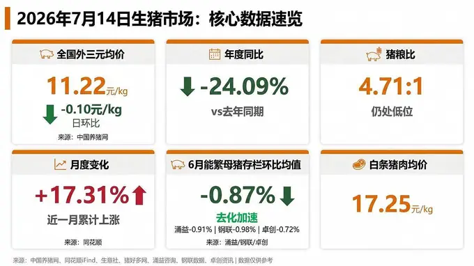 涌益/钢联/卓创三方同步确认6月能繁去化加速！机构提示：二育退潮后猪价短期或承压