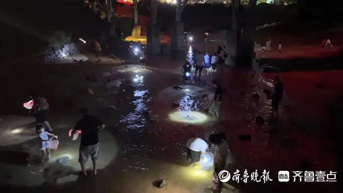日照太公岛牡蛎公园:夜幕下的赶海寻宝盛宴