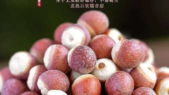 夏季消暑煲汤优选芡实,全家老小营养又安适