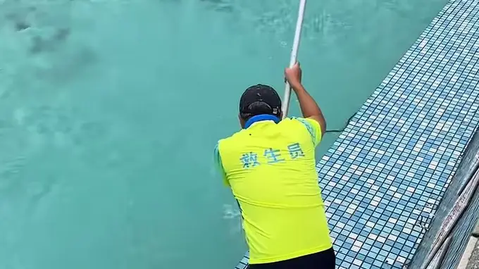 广东景区泳池惊现游蛇 景区回应：无毒蛇已处理无人受伤