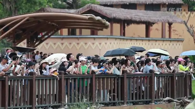 广东清远长隆暑期文旅迎新 生态体验项目助力产业升级
