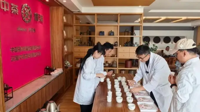 中茶云南启动广东仓二次专项审评 解锁普洱茶仓储核心密码