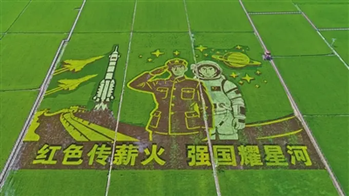 兴安盟扎赉特旗彩色水稻绘就3D立体稻田画