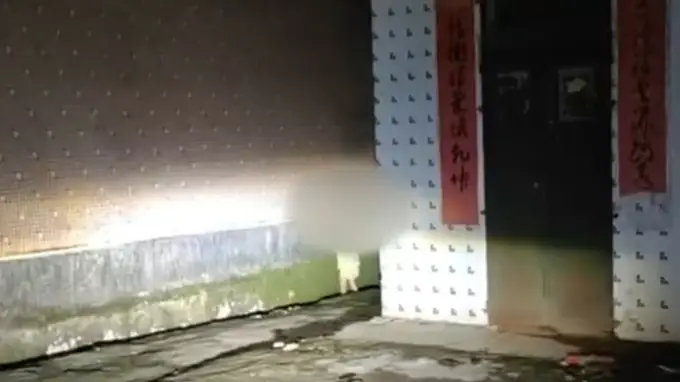 “广东4岁男童露宿街头”后续：男童获临时监护，暂未发现有心理问题