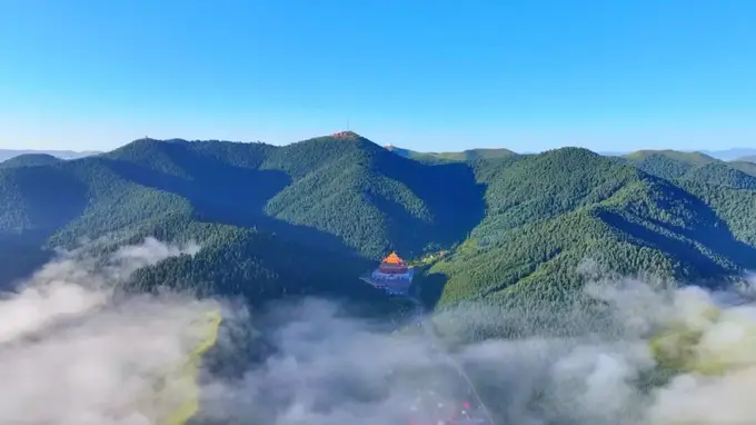 在雪域羚城，找到了夏天最美的模样