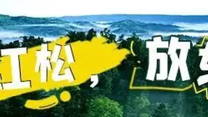 伊春市市场监管局发布夏季旅游价格行为提醒告诫书