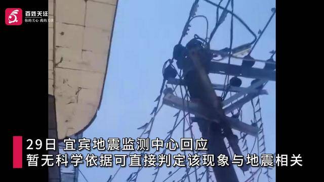 宜宾高县地震前数百只燕子聚集电线杆 官方：无法直接判定与地震相关