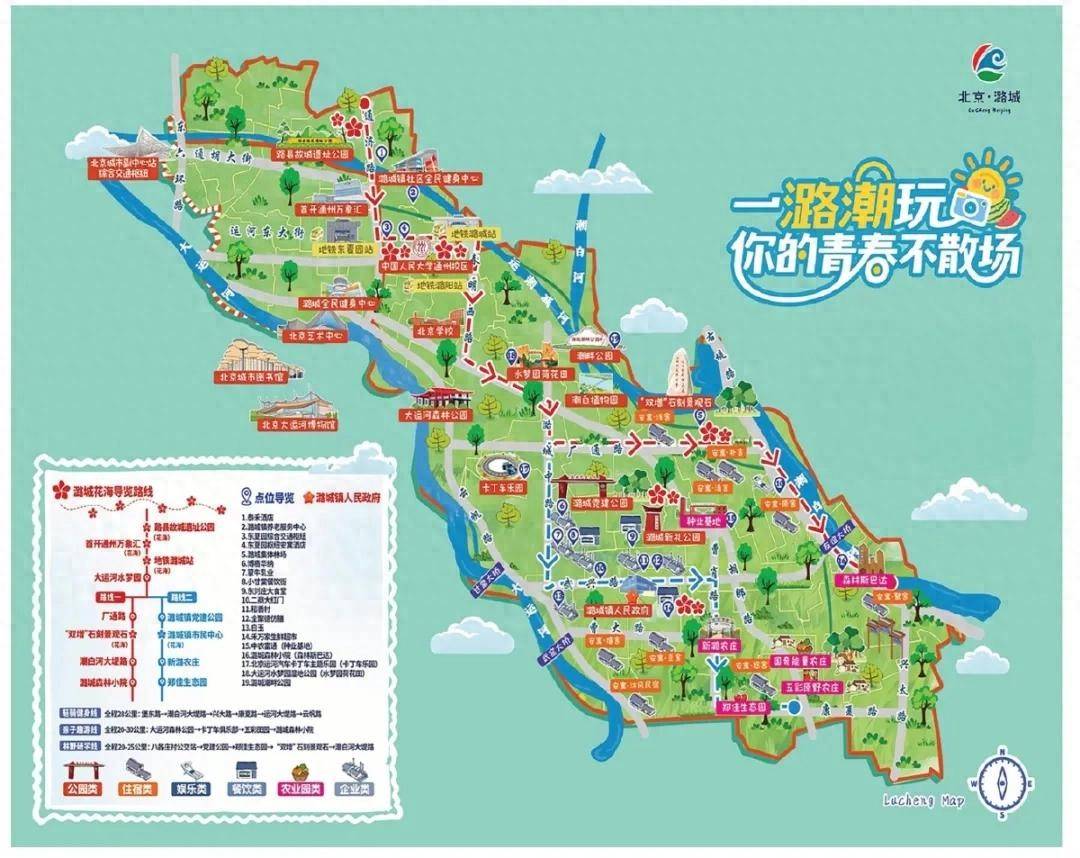 通州这里波斯菊+向日葵花海盛放！还能骑行、开卡丁车~