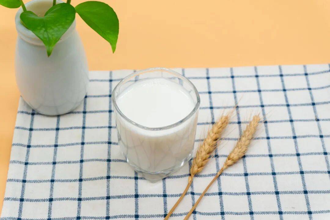牛奶不能和药一起吃？