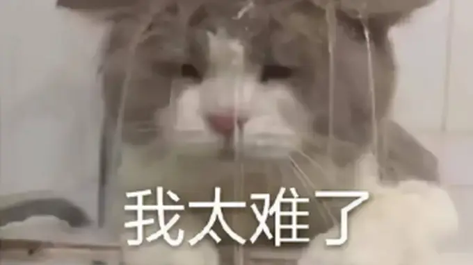 重燃热血，回归正当时！怀旧mmo玩家归宿还得是天下贰经典版