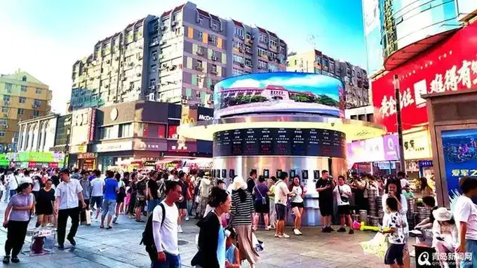 醉美山海盛夏!青岛全域文旅热潮激荡城市新风