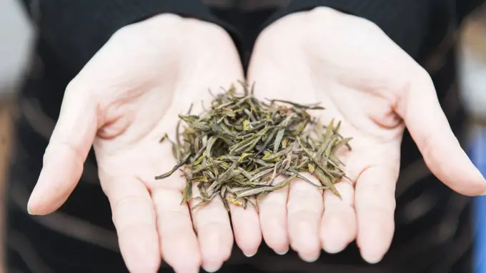 大红袍茶叶的健康益处有哪些？