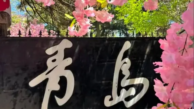 7-8月暑期青岛游玩全攻略:这样玩才够尽兴,一篇讲透所有重点