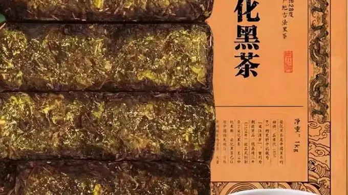 重构中国茶全球坐标 黑茶金花之父刘仲华院士推进全链条创新突破
