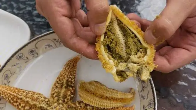 尝海星踩坑！吃火锅后抱着马桶吐到深夜