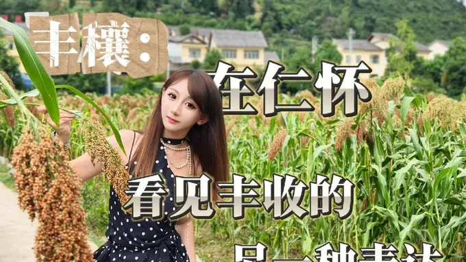 丰穰:在仁怀,看见丰收的另一种表达